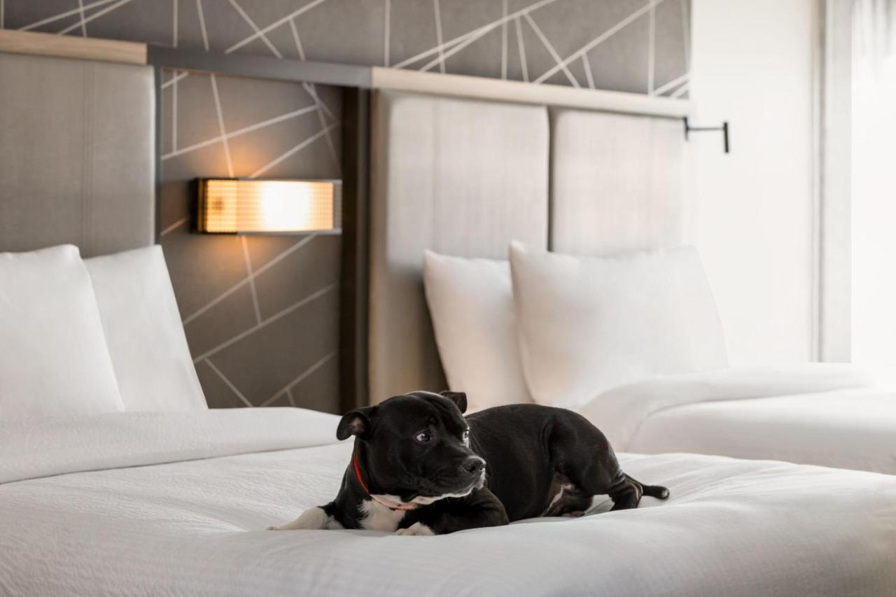 Springhill Suites By Marriott Camp Hill Ngoại thất bức ảnh